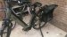 Gestolen Fiets Qwic premium